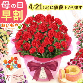 ＼本日P5倍★4/21に値段上がります／ 母の日 プレゼント 早割 カーネーション 2026 花 生花 ギフト 鉢植え 希少 5号サイズ 4号 バウムクーヘン メッセージカード付き ラッピング 人気 かわいい 送料無料 スイーツ お菓子 洋菓子 ギフトセット おいもや