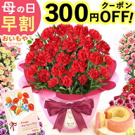 ＼まもなく値段上がります★先着300円クーポン／ 母の日 プレゼント 早割 カーネーション バンビーノ 202…