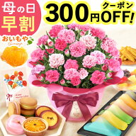 ＼まもなく値段上がります★先着300円クーポン／ 母の日 プレゼント 早割 2026 花 生花 カーネーション …