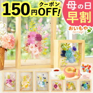 ＼まもなく値段上がります／ 母の日 プレゼント 早割 2026 花 プリザーブドフラワー ソーラーローズ フレ…