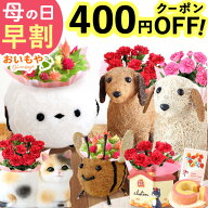 ＼先着400円クーポン★4/14にお値段上がります／ 母の日 プレゼント 早割 2026 花 生花 カーネーション …