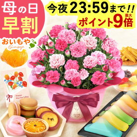 ＼今の早割★今夜23：59迄！ポイント最大9倍／ 母の日 プレゼント 早割 2026 花 生花 カーネーション 鉢植え 5号 ゼリー クッキー バターサンド どら焼き バウムクーヘン 干し芋 かりんとう スイートポテト ギフト 送料無料 スイーツ お菓子 和菓子 洋菓子 おいもや