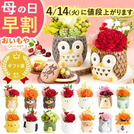 ＼今の早割13日まで！／ 母の日 プレゼント 早割 2026 花 花 ギフト アレンジメント プリザーブドフラワ…