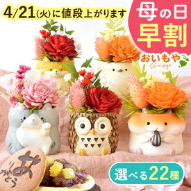 ＼本日P4倍★4/21に値段上がります／ 母の日 プレゼント 早割 2026 花 花 ギフト アレンジメント プリザーブドフラワー 枯れない花 動物 置物 ふくろう 鳥 猫 猫グッズ かわいい おしゃれ ギフト 送料無料 スイーツ お菓子 和菓子 どら焼き おいもや