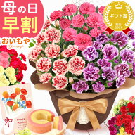 ＼200円クーポン★4/14にお値段上がります／ 母の日 プレゼント 早割 2026 カーネーション 花 生花 鉢植…