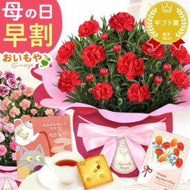 ＼超早割！／ 母の日 プレゼント 早割 花 生花 カーネーション 鉢植え 鉢花 花鉢 4号 焼き菓子 紅茶 メッセージカード ラッピング おしゃれ かわいい 可愛い 人気 花とスイーツ セット 赤 ピンク ギフト 送料無料 スイーツ お菓子 洋菓子 おいもや