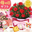 ＼最短発送★遅れてごめんね！／ 母の日 プレゼント 2026 花 生花 カーネーション 鉢植え 鉢花 花鉢 4号 焼き菓子 メッセージカード ラッピング おしゃれ 人気 花とスイーツ セット 赤 ピンク ギフト 送料無料 スイーツ お菓子 洋菓子 おいもや