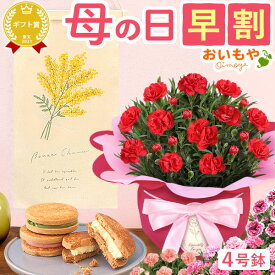 ＼超早割！／ 母の日 プレゼント 早割 花 生花 カーネーション 鉢植え 鉢花 花鉢 4号 焼き菓子 タペストリー インテリア 雑貨 実用的 メッセージカード ラッピング おしゃれ かわいい 可愛い 人気 セット ギフト 送料無料 スイーツ お菓子 洋菓子 おいもや
