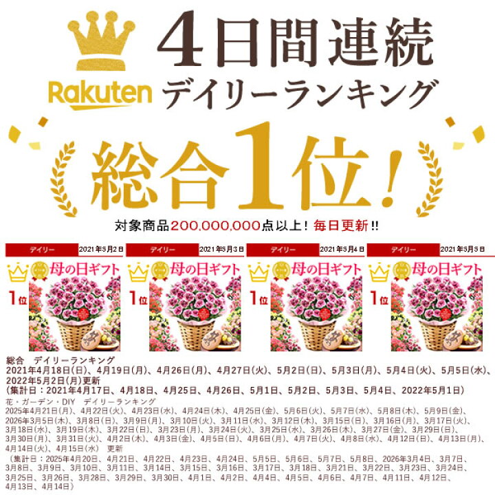楽天市場 本日23時59分に値段あがります 母の日 プレゼント 早割 花 ギフト カーネーション 生花 鉢植え 送料無料 スイーツ ギフトセット どら焼き お菓子 おいもや 静岡 おいもや