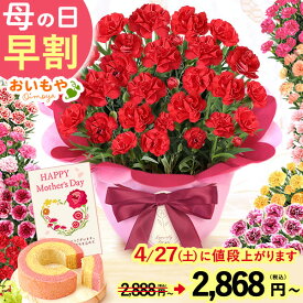 ＼本日18時に値段上がります／ 母の日 早割 プレゼント ははの日 花 生花 ギフト 鉢植え 希少 カーネーション 5号サイズ 4号 バウムクーヘン メッセージカード付き ラッピング 人気 おしゃれ かわいい 送料無料 スイーツ お菓子 洋菓子 ギフトセット おいもや