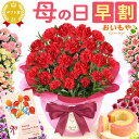 ＼超早割！／ 母の日 プレゼント 早割 花 生花 ギフト 鉢植え 希少 カーネーション 5号サイズ 4号 バウムクーヘン メ…