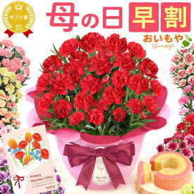 ＼超早割！／ 母の日 プレゼント 早割 花 生花 ギフト 鉢植え 希少 カーネーション 5号サイズ 4号 バウムクーヘン メッセージカード付き ラッピング 人気 おしゃれ かわいい 送料無料 送料無料 スイーツ お菓子 洋菓子 ギフトセット おいもや