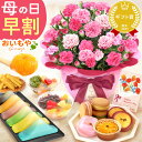 ＼超早割！／ 母の日 プレゼント 早割 花 生花 カーネーション 鉢植え 5号 ゼリー クッキー バターサンド どら焼き バ…