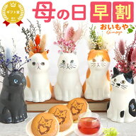 ＼200円クーポン★4/14にお値段上がります／ 母の日 プレゼント 早割 2026 花 フラワーベース 花瓶 一輪…