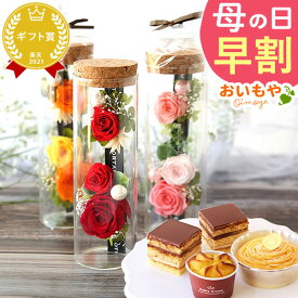 ＼本日エントリー4倍＆早割／ 母の日 早割 プレゼント ははの日 花 ギフト プリザーブドフラワー プリザ 薔薇 バラ ケーキ モンブラン チョコレート ミニ カップケーキ スイートポテト 詰め合わせ 個包装 送料無料 スイーツ お菓子 洋菓子 ギフトセット おいもや