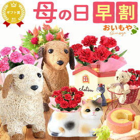 楽天市場 花 ケーキ ケイトウの通販