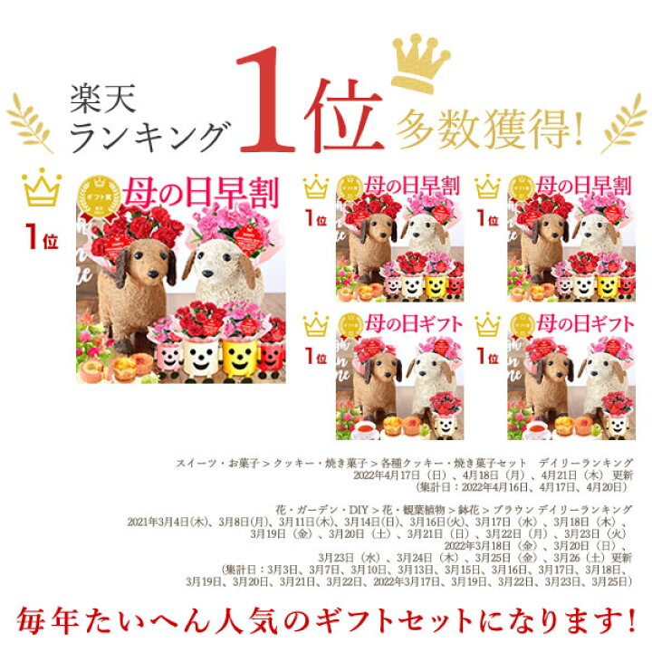 楽天市場 今の早割31日まで 母の日 プレゼント 花 ギフト カーネーション ケイトウ3号 犬 ブリキマン くま 動物 生花 鉢植え 送料無料 スイーツ ギフトセット お母さん 実用的 静岡 おいもや