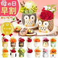 ＼まもなく値段上がります／ 母の日 プレゼント 早割 2026 花 花 ギフト アレンジメント プリザーブドフ…