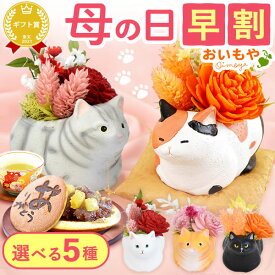 ＼まもなく値段上がります／ 母の日 プレゼント 早割 2026 花 プリザーブドフラワー フラワーアレンジメント 薔薇 バラ 猫 ネコ 猫グッズ 猫好き 枯れない花 造花 インテリア 実用的 おしゃれ 可愛い どら焼き ギフト 送料無料 スイーツ お菓子 和菓子 おいもや