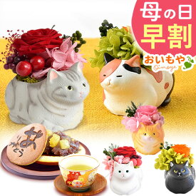 ＼まもなく値段上がります／ 母の日 早割 プレゼント 猫グッズ ははの日 ギフト 猫好き 薔薇 バラ あじさい 送料無料 猫 ネコ 枯れない花 花 インテリア おしゃれ 和菓子 プリザーブドフラワー 可愛い フラワーアレンジメント スイーツ お菓子 ギフトセット oimoya