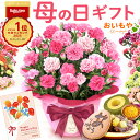 母の日 プレゼント 送料無料 花 生花 2026 ギフト 鉢植え 希少 鉢花 カーネーション 5号 どら焼き スイートポテト バウムクーヘン おしゃれ かわいい お花 スイーツ お菓子 和菓子 楽天ランキング1位 ギフトセット おいもや