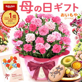 母の日 プレゼント 送料無料 花 生花 2026 ギフト 鉢植え 希少 鉢花 カーネーション 5号 どら焼き スイートポテト バウムクーヘン おしゃれ かわいい お花 スイーツ お菓子 和菓子 楽天ランキング1位 ギフトセット おいもや