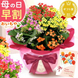 ＼超早割！／ 母の日 プレゼント 早割 花 生花 カランコエ 5号 鉢花 ミックス 4色 小花 カラフル ラッピング リボン 鉢カバー ギフト 送料無料 スイーツ おいもや