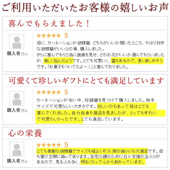 楽天市場 早割ラスト 24日まで 母の日 プレゼント 花 ギフト 胡蝶蘭 ミディ胡蝶蘭 生花 鉢植え 送料無料 スイーツ ギフトセット 静岡 おいもや