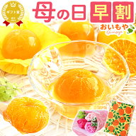 ＼今夜23:59迄★ポイント3倍＆早割／ 母の日 プレゼント 早割 スイーツ お菓子 2026 みかん ゼリー 蜜柑 …