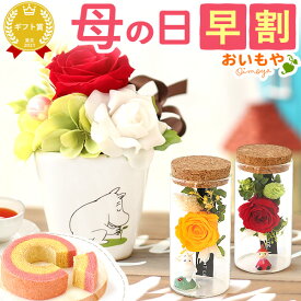＼超早割！／ 母の日 プレゼント 早割 花 ギフト ムーミン ニョロニョロ キャラクター グッズ プリザ プリザーブドフラワー バウムクーヘン バラ 薔薇 花とスイーツ ギフト 送料無料 スイーツ お菓子 洋菓子 おいもや