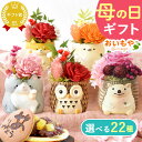 ＼最短発送★遅れてごめんね！／ 母の日 プレゼント 2026 花 花 ギフト アレンジメント プリザーブドフラワー 枯れな…