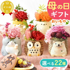 ＼最短発送★遅れてごめんね！／ 母の日 プレゼント 2026 花 花 ギフト アレンジメント プリザーブドフラワー 枯れない花 動物 置物 ふくろう 鳥 猫 猫グッズ かわいい おしゃれ ギフト 送料無料 スイーツ お菓子 和菓子 どら焼き おいもや