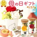 ＼最短発送★遅れてごめんね！／ 母の日 プレゼント 2026 花 ギフト ムーミン ニョロニョロ キャラクター グッズ プリ…