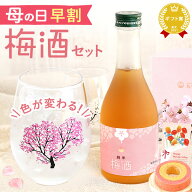 ＼早割＆200円クーポン／ 母の日 プレゼント 早割 2026 花以外 お酒 梅酒 300ml グラス ペア セット ミニ…