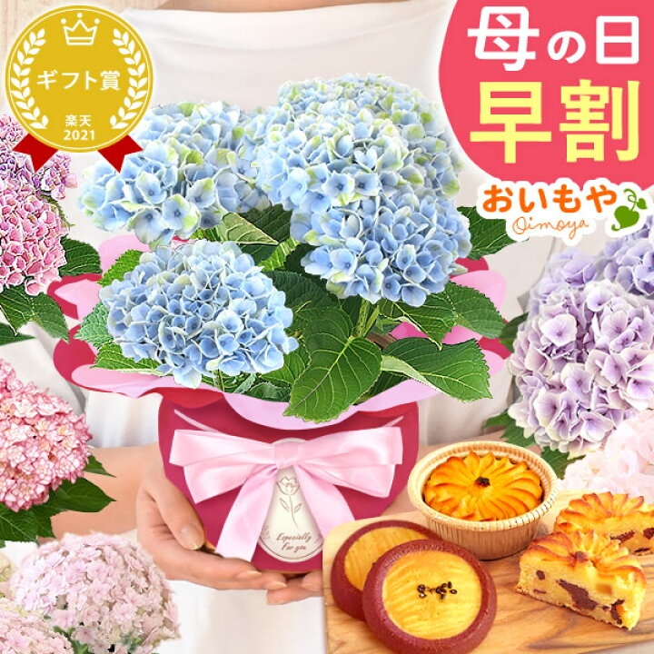 楽天市場】＼緊急！500円クーポン／ 母の日 早割 プレゼント 花 生花 