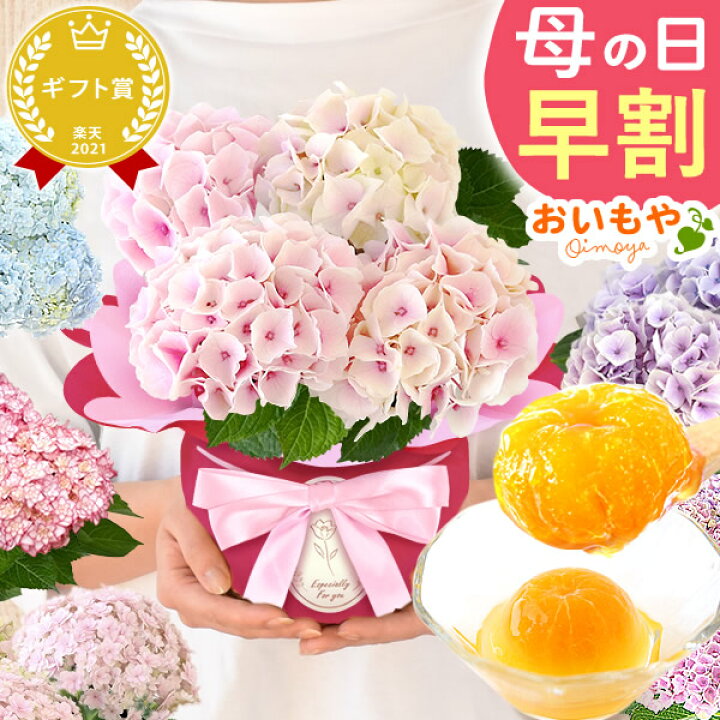 楽天市場】＼緊急！500円クーポン／ 母の日 早割 プレゼント 花 生花 