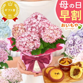 ＼0時に値段上がります／ 母の日 早割 プレゼント ははの日 花 生花 ギフト 選べる アジサイ 紫陽花 あじさい 4号 鉢花 花鉢 鉢植え 生花 希少 どら焼き どらやき スイートポテト サブレ みかんゼリー 送料無料 スイーツ お菓子 和菓子 洋菓子 ギフトセット おいもや