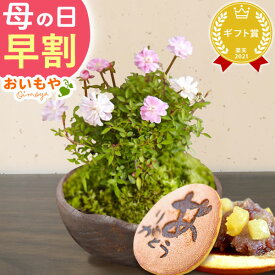 ＼本日エントリー4倍＆早割／ 母の日 早割 プレゼント ははの日 花 生花 ギフト 桜 さくら つつじ バラ 薔薇 カーネーション以外 盆栽 ミニ盆栽 鉢植え 花鉢 鉢花 フラワーギフト おしゃれ オシャレ かわいい 可愛い どら焼き 送料無料 スイーツ お菓子 和菓子 おいもや