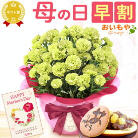 ＼4月17日お値段上がります／ 母の日 早割 プレゼント お花 2024 ギフト 生花 鉢植え 希少 鉢花 カーネーション 5号 どら焼き おしゃれ かわいい 送料無料 スイーツ お菓子 和菓子 一人暮らし クーポン 楽天ランキング1位 セット おいもや