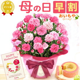 ＼まもなく値段上がります／ 母の日 早割 プレゼント ははの日 花 生花 ギフト 鉢植え 希少 カーネーション 5号サイズ 4号 バウムクーヘン メッセージカード付き ラッピング 人気 おしゃれ かわいい 送料無料 スイーツ お菓子 洋菓子 ギフトセット おいもや