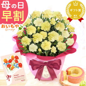 ＼ポイント2倍★今の早割4/18まで／ 母の日 プレゼント 早割 カーネーション 2026 花 生花 ギフト 鉢植え 希少 5号サイズ 4号 バウムクーヘン メッセージカード付き ラッピング 人気 かわいい 送料無料 スイーツ お菓子 洋菓子 ギフトセット おいもや