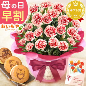＼先着300円クーポン★4/24に値段上がります／ 母の日 プレゼント 早割 2026 花 生花 カーネーション 鉢植え 5号 ゼリー クッキー バターサンド どら焼き バウムクーヘン 干し芋 かりんとう スイートポテト ギフト 送料無料 スイーツ お菓子 和菓子 洋菓子 おいもや