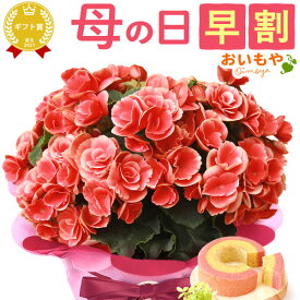 ＼4月24日お値段上がります／ 母の日 早割 プレゼント ははの日 花 ギフト 紫陽花 あじさい アジサイ 生花 鉢花 鉢植え 希少 花鉢 ダリア マーガレット ユリ シャクナゲ ペチュニア ベゴニア バーベナ ジャスミン 送料無料 スイーツ お菓子 洋菓子 ギフトセット おいもや