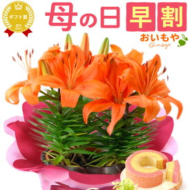 ＼4月27日お値段上がります／ 母の日 早割 プレゼント ははの日 花 ギフト 紫陽花 あじさい アジサイ 生花 鉢花 鉢植え 希少 花鉢 ダリア マーガレット ユリ シャクナゲ ペチュニア ベゴニア バーベナ ジャスミン 送料無料 スイーツ お菓子 洋菓子 ギフトセット おいもや