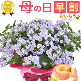 ＼4月22日お値段上がります／ 母の日 早割 プレゼント ははの日 花 ギフト 紫陽花 あじさい アジサイ 生花 鉢花 鉢植え 希少 花鉢 ダリア マーガレット ユリ シャクナゲ ペチュニア ベゴニア バーベナ ジャスミン 送料無料 スイーツ お菓子 洋菓子 ギフトセット おいもや