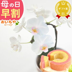 ＼超早割！／ 母の日 プレゼント 早割 花 生花 蘭 胡蝶蘭 ミディ 2.5号 インテリア 選べる 10種 バウム 苺バウム ギフト 送料無料 スイーツ お菓子 洋菓子 おいもや