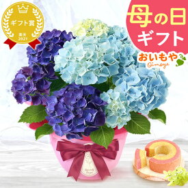 ＼超早割！／ 母の日 プレゼント 早割 花 生花 あじさい アジサイ 紫陽花 2色植え 5号鉢 鉢花 鉢植え 苺バウム 珍しい 贈り物 女性 植物 かわいい おしゃれ オシャレ カーネーション以外 ギフト 送料無料 スイーツ お菓子 洋菓子 おいもや