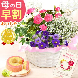 ＼超早割！／ 母の日 プレゼント 花 ギフト カーネーション 薔薇 バラ カランコエ マーガレット ケイトウ ヘデラ 生花 鉢植え 寄せ植え 編み籠 ポット ミックス 送料無料 スイーツ お菓子 洋菓子 ギフトセット おいもや