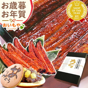 _wOKI^ Ε Mtg 2025 Ȃ V EiM ΏĂ Ώ Ă Y ^pbN Ⓚ É XC[c aَq َq   yY ~Mtg Ε N N