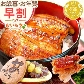 ＼11時間限定★クーポン／ 早割 お歳暮 ギフト 2025 うなぎ 鰻 国産 ウナギ かば焼き かば焼 蒲焼き　冷凍 真空パック 静岡 スイーツ お菓子 和菓子 送料無料 お取り寄せ 手土産 冬ギフト 御歳暮 お年賀 御年賀 秋 おいもや pon-2 pon-3 pon-4